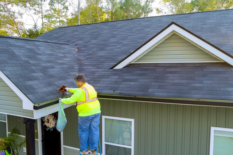 High-Quality Gutter Maintenance