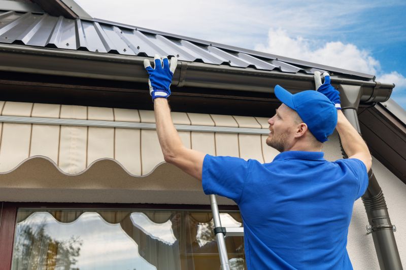 Gutter Inspection and Cleaning